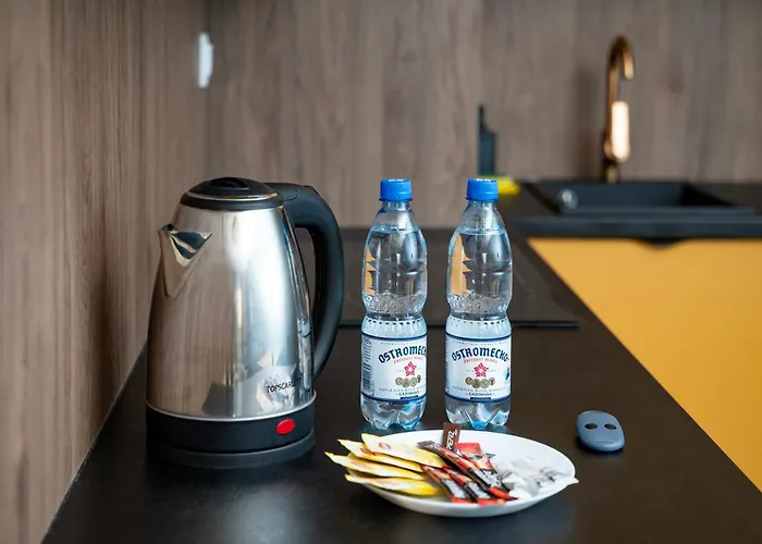 Wieniawskiego Chic By Bookinghost 公寓 *