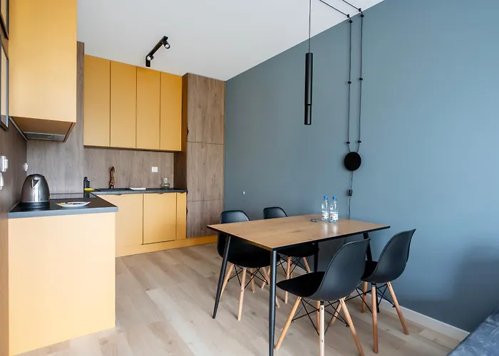 Wieniawskiego Chic By Bookinghost * 罗兹