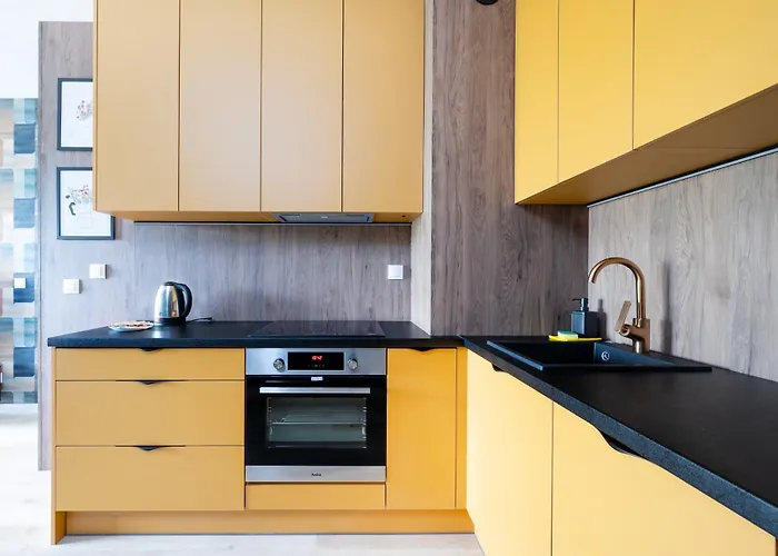 Wieniawskiego Chic By Bookinghost 罗兹